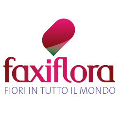 FAXIFLORA