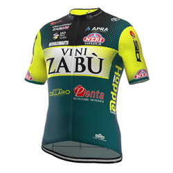 Team jersey VINI ZABU'