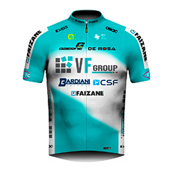 Maglia Squadra VF GROUP-BARDIANI CSF-FAIZANE'